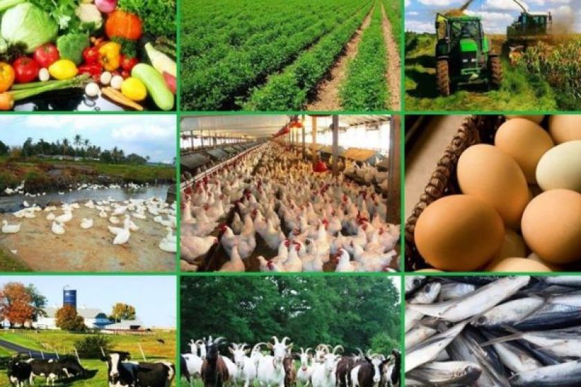Agriculture-1-1